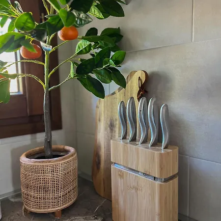 Villa Maillard *